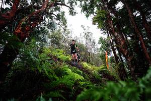 BIB: 
                            <button type="button" onclick="openModal(26204242)" class="btn btn-primary btn-sm float-right btn-popup" data-toggle="modal" data-target=".modal-high-quality">
                        <i class="fas fa-shopping-cart"></i> Add to Cart
                    </button>
                                            <button type="button" onclick="isThisMe(26204242, true)" class="btn btn-success btn-sm float-right btn-popup btn-isme hidden" data-toggle="tooltip" data-placement="bottom" title="นี่คือรูปของคุณใช่ไหม คลิกที่นี่เพื่อเอาเข้าอัลบั้ม">
                        <i class="fas fa-plus"></i> Add to album
                    </button>
                    <button type="button" onclick="isThisMe(26204242, false)" class="btn btn-warning btn-sm float-right btn-popup btn-isnotme hidden">
                        <i class="fas fa-ban"></i> Remove from album
                    </button>